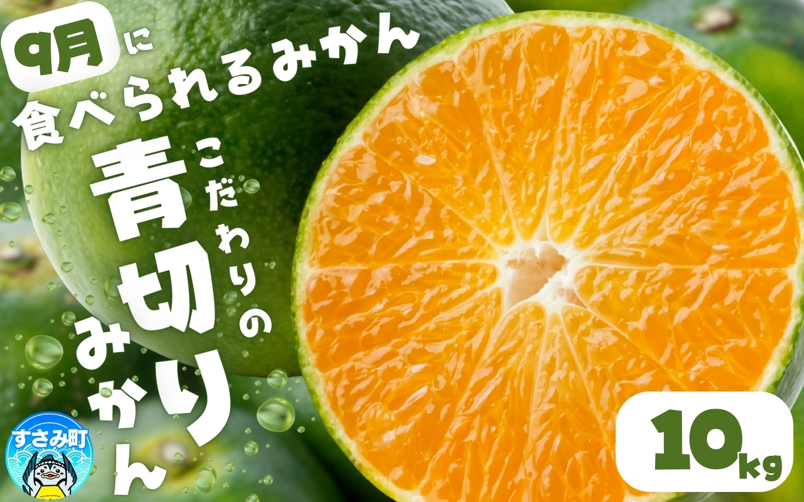 【来秋頃発送予約】【農家直送】こだわりの青切りみかん 約10kg  有機質肥料100%　 サイズ混合　※2026年9月下旬より順次発送予定（お届け日指定不可）【nuk108E】
