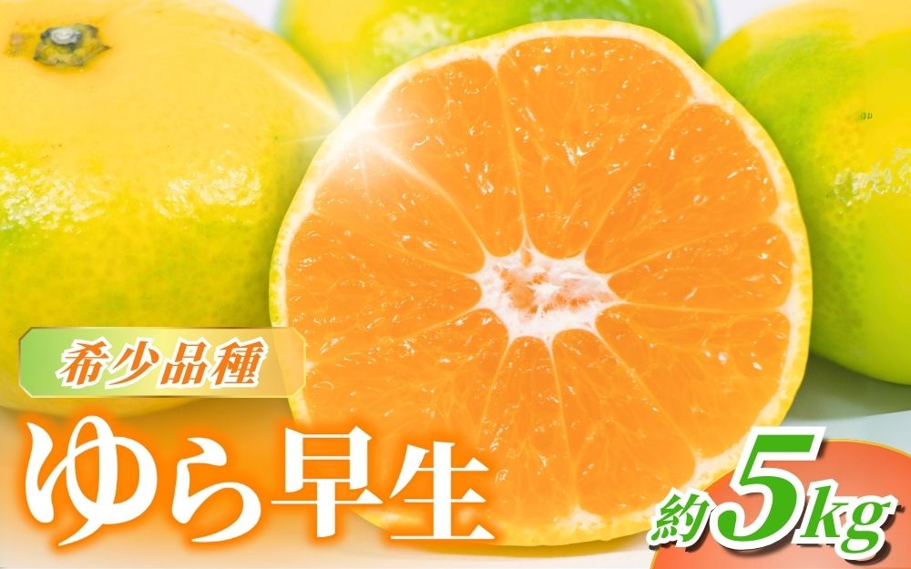 【2026年秋頃発送予約分】＼農家直送／甘くて濃厚！希少品種 ご家庭用 ゆら早生みかん 約5kg サイズ混合 ※2026年10月上旬より順次発送予定（お届け日指定不可）【nuk109E】