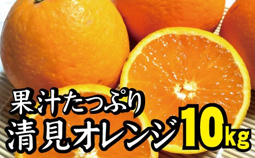 【農家直送】果汁たっぷり！清見オレンジ 約10kg 有機質肥料100% サイズ混合　※2024年3月上旬より順次発送予定（お届け日指定不可）【nuk113A】