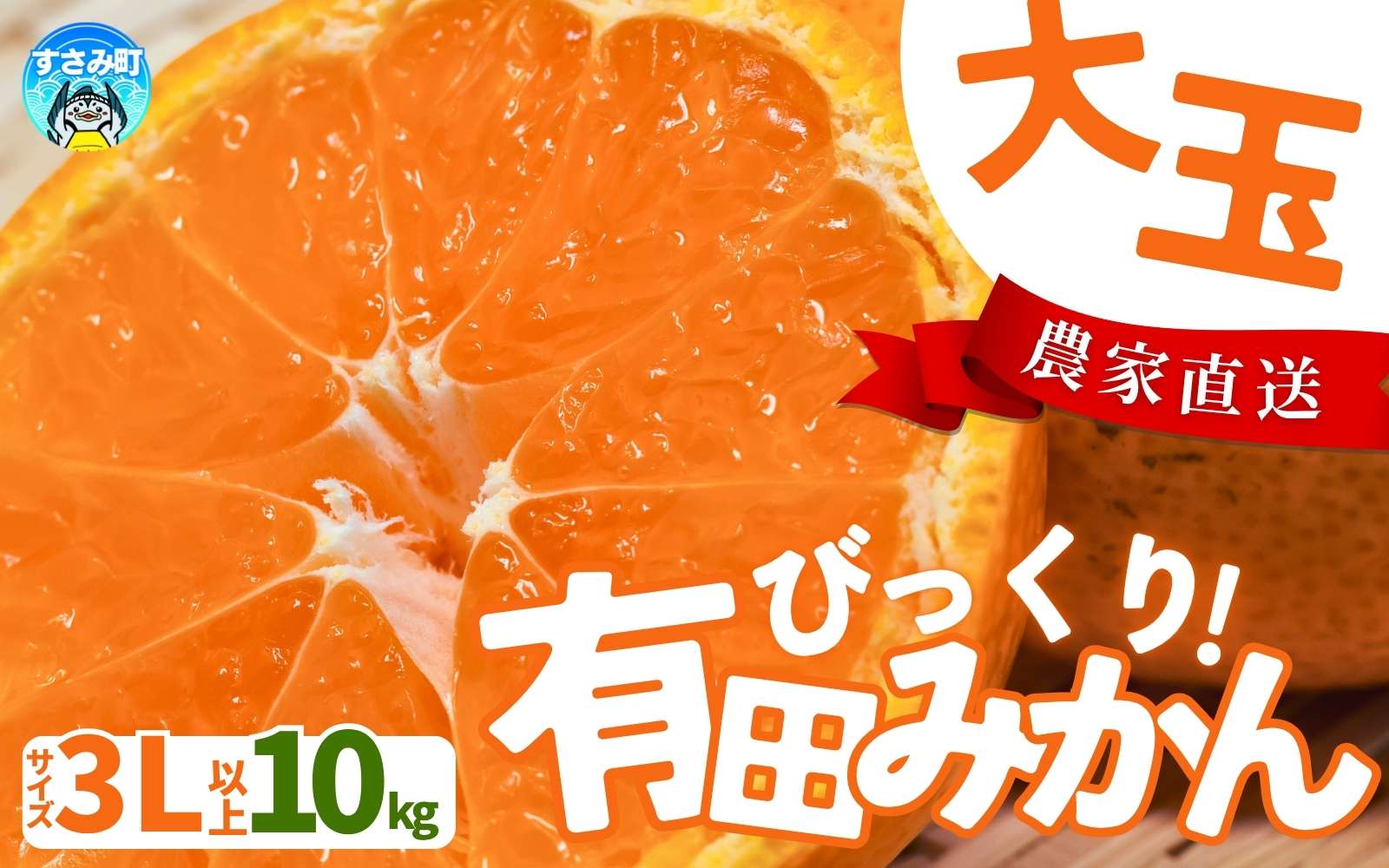 【農家直送】有田みかん 約10kg 大玉3L以上 有機質肥料100% ※2026年11月～12月に順次発送予定(お届け日指定不可)【nuk139F】