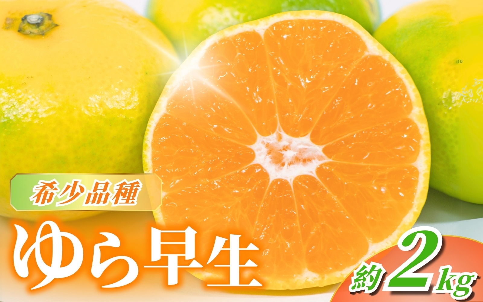 【先行予約】＼光センサー選別／＼農家直送／甘くて濃厚！希少品種 ご家庭用 ゆら早生みかん　約2kg サイズ混合【2026年10月上旬頃より順次発送】【nuk143D】