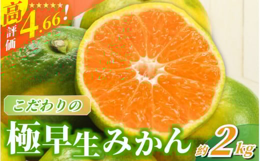 【2026年秋頃発送予約分】【農家直送】こだわりの極早生みかん 約2kg【数量限定】 有機質肥料100% サイズ混合 ※2026年9月下旬より順次発送予定（お届け日指定不可） / 早生みかん みかん ミカン 有田みかん 温州みかん 柑橘 有田 和歌山 産地直送  くだもの 果物 フルーツ 柑橘類 和歌山 すさみ町【nuk170A】
