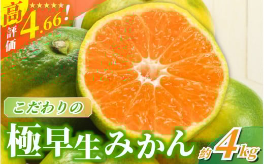 【2026年9月下旬~発送】極早生みかん【農家直送】こだわりの極早生みかん 約4kg【数量限定】 有機質肥料100% サイズ混合 ※2026年9月下旬より順次発送予定（お届け日指定不可） / 早生みかん みかん ミカン 有田みかん 温州みかん 柑橘 有田 和歌山 産地直送  くだもの 果物 フルーツ 柑橘類 和歌山 すさみ町【nuk171A】