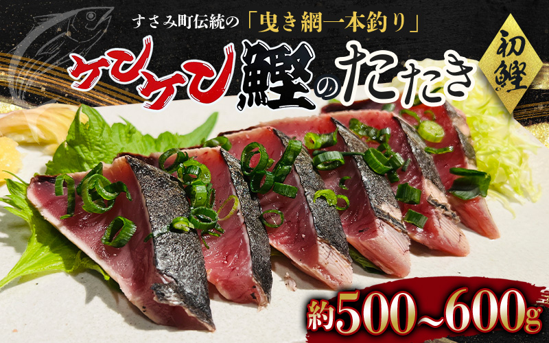 和歌山県すさみ産 初鰹！ ケンケン鰹のたたき 約500g～600g / 初鰹 かつお かつおのたたき 刺身 タタキ 天然 冷凍 真空 小分け 個包装 加工品 魚 和歌山県 鰹 鰹 すさみ町【scp001A】