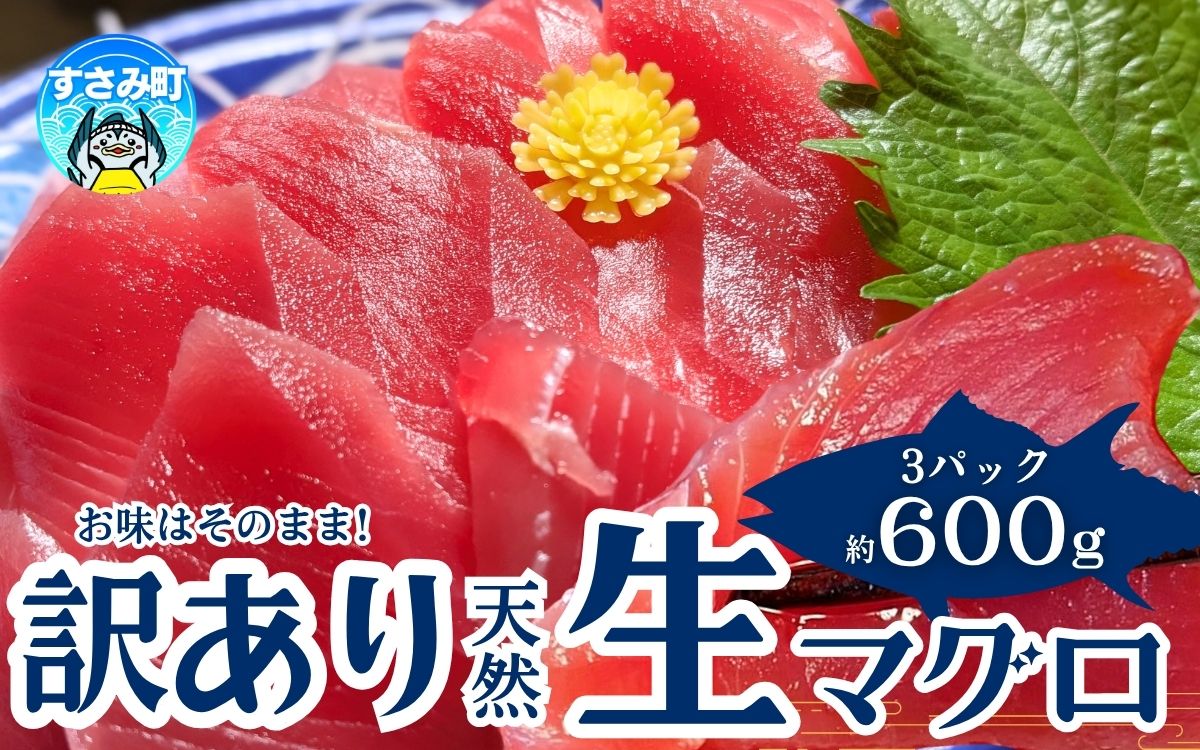 【訳あり】和歌山県すさみ産 天然生マグロ 冷凍 生 約200g×3個　マグロ 海鮮丼 鮪 寿司 海鮮 小分け 刺身 和歌山 すさみ町 キハダマグロ メバチマグロ 大容量【scp002B】