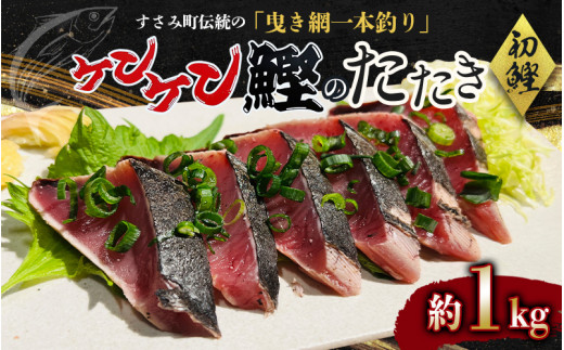 すさみケンケン鰹のたたき 約1kg / 鰹 かつおのたたき 刺身 天然 初ガツオ 初鰹 カツオのたたき 鰹 冷凍 真空 小分け 個包装 魚 和歌山県 鰹 鰹 すさみ町【scp012】