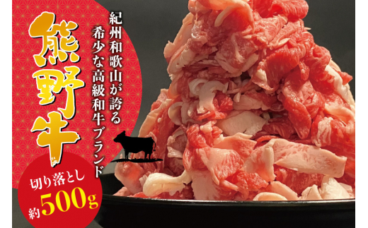 希少和牛 熊野牛 切落し 約500g ＜冷蔵＞ すき焼き しゃぶしゃぶ 牛肉【sim108A】