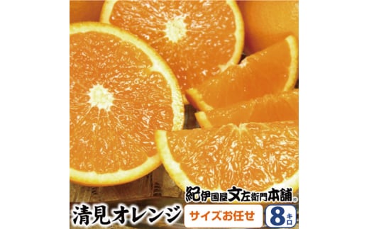 清見オレンジ約8kg/果実サイズおまかせ※2026年2月中旬～4月下旬頃発送予定　　　紀伊国屋文左衛門本舗【sutb401C】