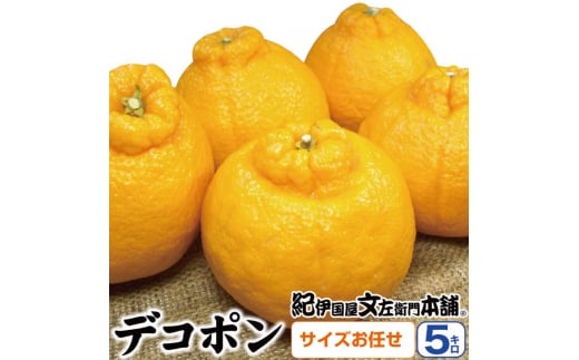 デコ不知火（デコポン） 約5kg/サイズおまかせ　※2026年2月上旬～4月上旬頃に順次発送予定(お届け日指定不可)　紀伊国屋文左衛門本舗　【sutb420A】