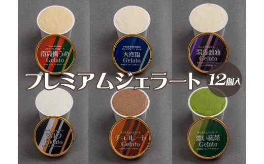 プレミアムジェラート 詰め合わせセット（6種類×2個） アイスクリームセット 100mlカップ ゆあさジェラートラボラトリー【sutb701】