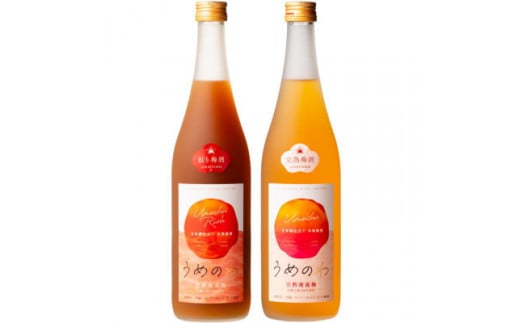 【紀州完熟南高梅使用】濃厚「ねり梅酒」と芳醇「梅酒」各720mlの飲み比べ / 梅酒 梅 紀州梅酒 南高梅 うめ 梅干し お酒 酒 うめ酒 飲み比べ【tecj1003】