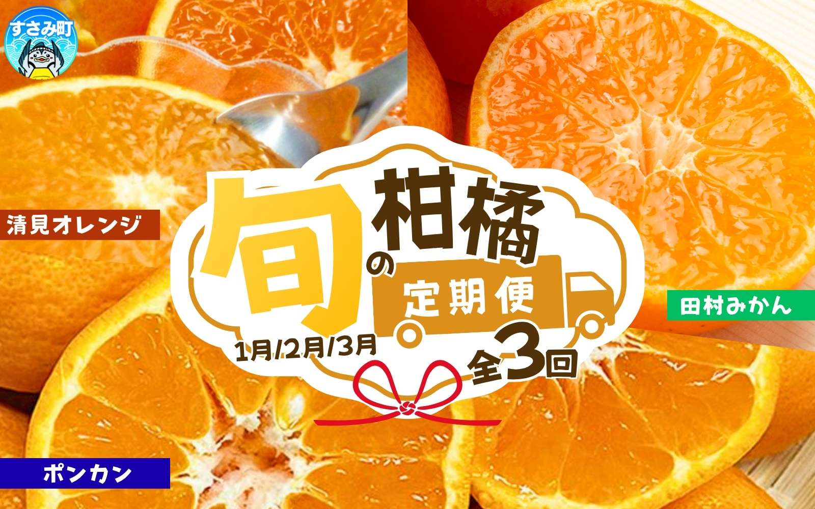 【3か月定期便】人気のみかんを集めた！旬の柑橘定期便 / みかん ミカン 柑橘 オレンジ 果物 くだもの フルーツ フルーツ定期便 和歌山【tkb111】