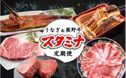 【全3回】－松－ 国産うなぎ＆熊野牛 スタミナ定期便 / 定期便 鰻 牛肉 サーロイン ギフト プレゼント お祝い 冷凍便 クール便 【tkb365】
