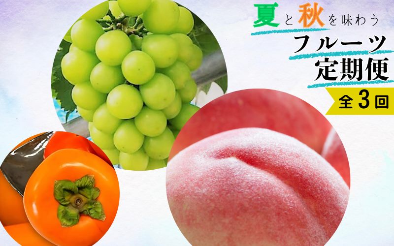 【全3回】夏と秋を味わうフルーツ定期便 (桃・マスカット・柿)【tkb370】