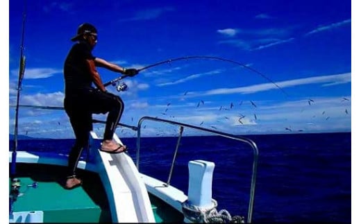 【マグロキャストチャーター】第八大洋丸 1日チャーター券(大人6名迄)　/まぐろ 鮪【tym100】