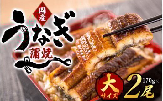 【大型サイズ】ふっくら柔らか 国産うなぎ蒲焼き 2尾/うなぎ ウナギ 鰻 うなぎ蒲焼 国産【uot302A-3】