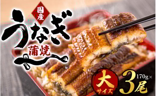 【大型サイズ】ふっくら柔らか 国産うなぎ蒲焼き 3尾/うなぎ ウナギ 鰻 うなぎ蒲焼 国産 【uot303A-3】