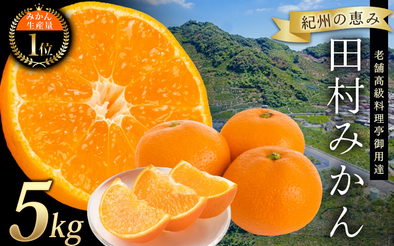 高級ブランド 田村みかん 5kg【予約】※2025年11月下旬頃〜2026年1月下旬頃に順次発送予定(お届け日指定不可)/ミカン 有田みかん ブランドみかん 柑橘 果物 フルーツ 旬 先行 みかん みかん みかん 予約【uot504A】
