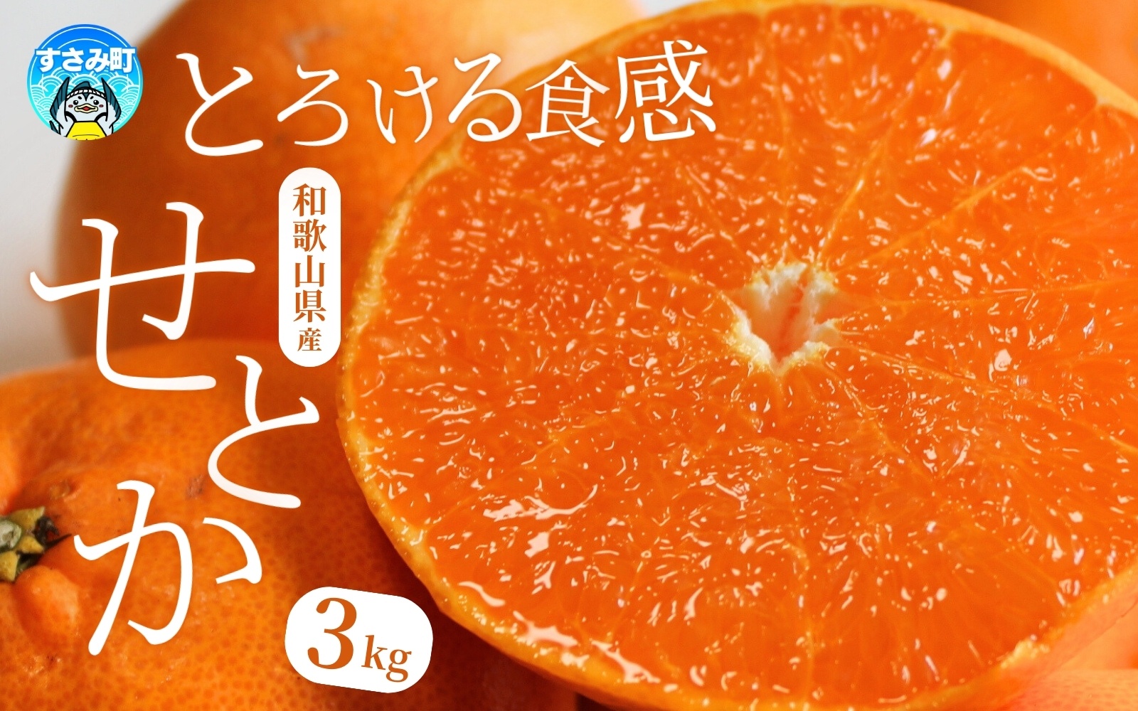 とろける食感！ジューシー柑橘 せとか 約3kg【予約】※2026年2月下旬頃〜2026年3月下旬頃発送(お届け日指定不可) みかん ミカン 蜜柑 柑橘 果物 フルーツ【uot506A】