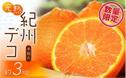 果肉プリプリ♪ 完熟紀州デコ(不知火)  約3kg ＜2026年2月下旬頃〜2026年3月中旬頃発送＞ 不知火 みかん ミカン 柑橘 果物 フルーツ【uot706A】