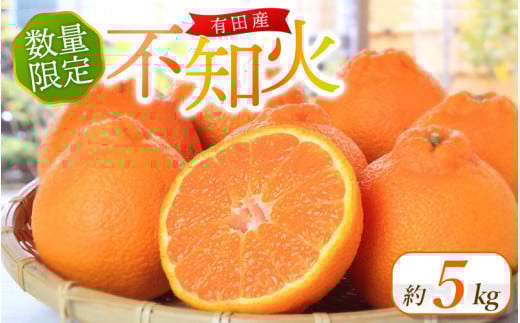 先行予約 紀州有田産 不知火(しらぬひ)  約5kg ＜2026年2月中旬頃〜2026年3月中旬頃発送＞ 不知火 デコポン みかん ミカン 柑橘 果物 くだもの  フルーツ 旬 和歌山【uot709A】