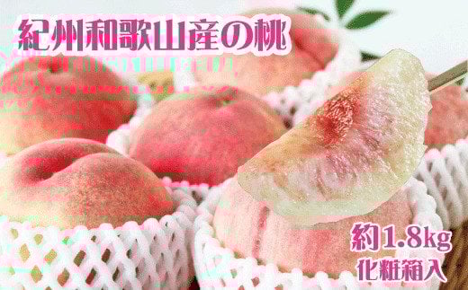 【先行予約】紀州和歌山産の桃 約1.8kg 化粧箱入 ※2026年6月下旬頃〜2026年8月上旬頃順次発送（お届け日指定不可）先行予約 桃 もも モモ フルーツ 果物 くだもの 人気 旬 和歌山【uot720-2】