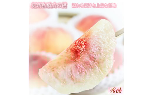 【先行予約】秀品　紀州和歌山産の桃　3玉　化粧箱入　※2026年6月下旬頃〜2026年8月上旬頃順次発送（お届け日指定不可）【uot750】