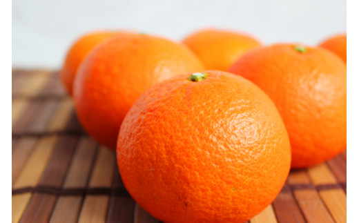 津之輝(つのかがやき)　5kg【予約】※2026年2月上旬頃～2026年2月下旬頃に順次発送予定(お届け日指定不可)  / みかん 果物 フルーツ 柑橘 ミカン くだもの 和歌山県【uot761】
