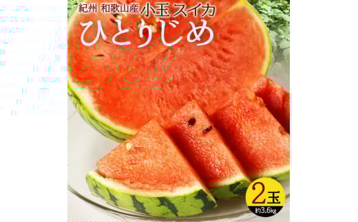 【先行予約】紀州和歌山産 小玉スイカ「ひとりじめ」2玉 ※2026年6月上旬頃～7月上旬頃に順次発送予定(お届け日指定不可) スイカ すいか 果物 くだもの フルーツ【uot779】