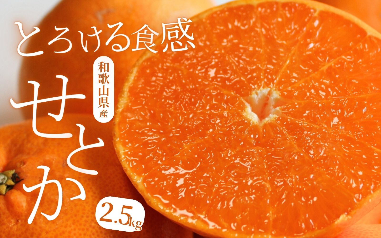 【柑橘の大トロ】せとか とろける食感 ジューシー柑橘 約2.5kg みかん 蜜柑 柑橘 オレンジ 果物 フルーツ 国産  ※2026年2月上旬頃～2026年2月下旬頃順次発送予定【uot789A】