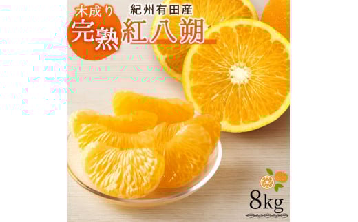 【先行予約】紀州有田産木成り完熟紅八朔８kg ※2026年2月末頃〜2026年3月中旬頃に順次発送予定（お届け日指定不可）/和歌山 有田 みかん フルーツ【uot795】
