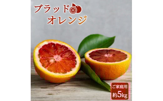 希少な柑橘!紀州有田産ブラッドオレンジ約5kg 【ご家庭用】※2026年3月上旬頃～3月中旬頃に順次発送 (お届け日指定不可) 【uot853】