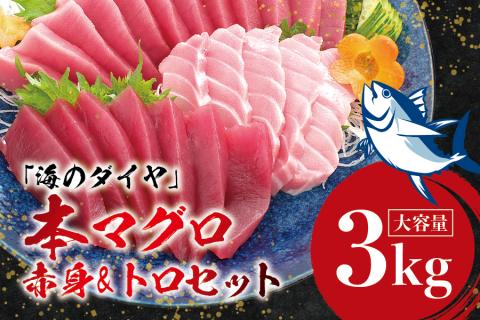 本マグロ(養殖)トロ&赤身セット 3kg[1か月以内に発送]/まぐろ 刺身 鮪 本鮪 クロマグロ 赤身 中とろ 大容量 まぐろたたき まぐろ丼[nks112]