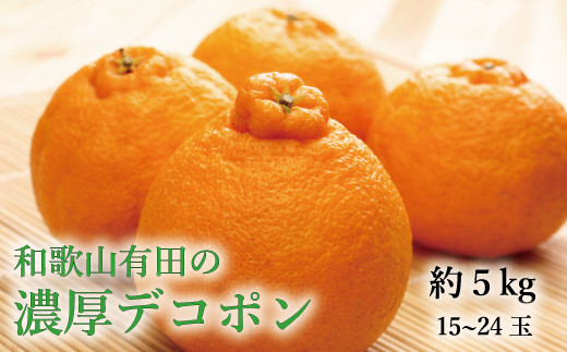 [大人気]和歌山有田の濃厚デコポン 15〜24玉(約5kg) / みかん 果物 フルーツ くだもの オレンジ デコポン 不知火 和歌山 有田みかん[ard005B]