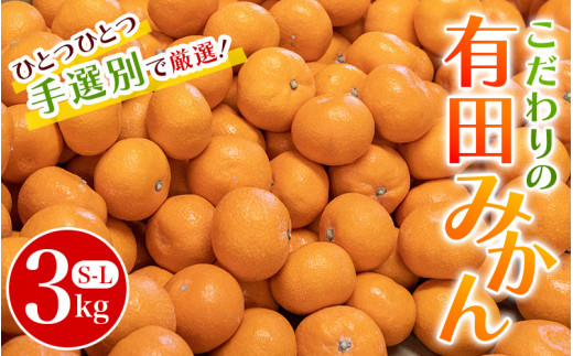 こだわりの和歌山県産 有田みかん 3kg(S〜Lサイズ) ひとつひとつ手選別で厳選!生産者から直送 [2024年11月中旬〜2025年1月中旬頃に順次発送分] みかん ミカン 蜜柑 有田みかん 柑橘[hdm004]