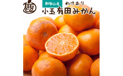 家庭用 小玉な有田みかん5kg+150g(傷み補償分)[わけあり・訳あり][光センサー選果]※北海道・沖縄・離島への配送不可 / みかん 有田みかん ミカン 和歌山 果物 フルーツ[ikd154A]