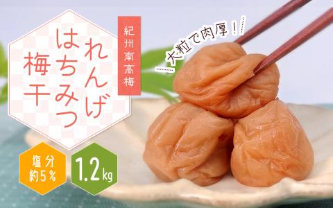 紀州南高梅 大粒 れんげはちみつ梅干し 1.2kg 塩分約5%/梅 梅干 梅干し うめ ウメ 南高梅 はちみつ梅 はちみつ梅干 大容量 たっぷり お得 ご飯のお供 ご家庭用 ご自宅用 贈答 お中元 梅干し 梅干し 梅干し 梅干し 梅干し 梅干し 梅干し 梅干し 梅干し 梅干し 梅干し 梅干し 梅干し 梅干し 梅干し[khs116]