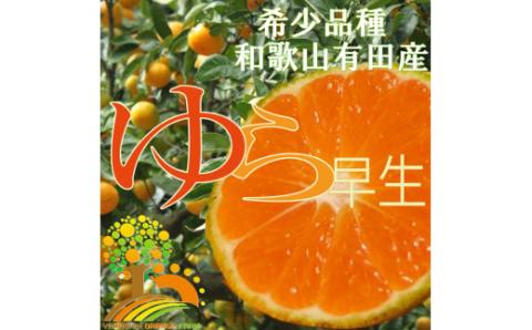 濃厚な味わいゆら早生みかん約7kg+210g[10月上旬より発送]※北海道・沖縄・離島配送不可 / みかん ミカン 有田みかん 温州みかん 柑橘 有田 和歌山 産地直送[nuk002C]