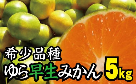 [2024年秋頃発送予約分]＼光センサー選別/＼農家直送/甘くて濃厚!希少品種 ご家庭用 ゆら早生みかん 約5kg+150g サイズ混合※2024年10月中旬で申込締切 ※2024年10月上旬より順次発送予定(お届け日指定不可)[nuk109B]