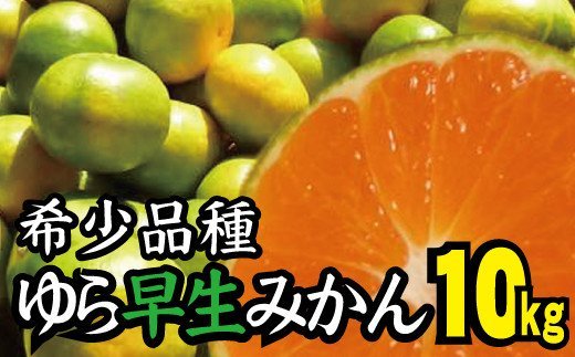 [2024年秋頃発送予約分]＼光センサー選別/＼農家直送/甘くて濃厚!希少品種 ご家庭用 ゆら早生みかん 約10kg+300g サイズ混合 ※2024年10月上旬より順次発送予定(お届け日指定不可)[nuk110A]