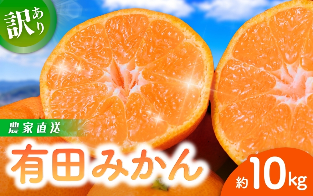 [訳あり]農家直送 有田みかん 約10kg ご家庭用 サイズ混合 ※2024年11月中旬から2025年1月中旬までに順次発送予定※北海道・沖縄・離島への配送不可 みかん ミカン 果物 フルーツ 和歌山 オレンジ 有田ミカン[nuk138C]