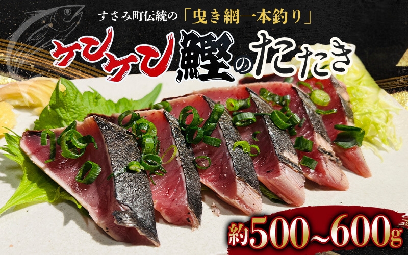 すさみケンケン鰹のたたき 約500g〜600g カツオ かつお 刺身 タタキ 天然 初ガツオ 初鰹[scp001A]