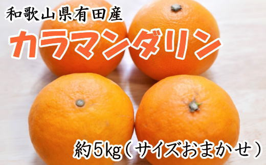 [濃厚春みかん]和歌山有田産カラマンダリン約5kg(サイズおまかせ)※2025年4月上旬〜中旬ごろ順次発送 / みかん 果物 フルーツ くだもの ミカン [tec927A]