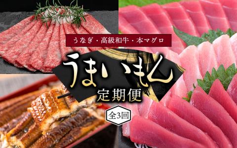 [3ヶ月定期便]◎和歌山うまいもん定期便 国産うなぎ・高級和牛・本マグロの人気返礼品を3回お届け!/ 定期便 定期便 定期便 定期便 定期便 鰻 熊野牛 鮪 まぐろ 定期便 定期便 定期便 定期便 定期便 定期便 定期便 定期便 定期便 定期便[tkb300]