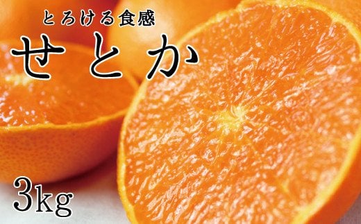 とろける食感!ジューシー柑橘 せとか 約3kg[予約]※2025年2月末頃〜2025年3月中旬頃発送(お届け日指定不可)[uot506]