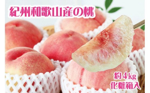 紀州和歌山産の桃 約4kg 化粧箱入 ※2025年6月下旬〜2025年8月上旬頃順次発送(お届け日指定不可)/ フルーツ もも 果物 くだもの モモ 桃 和歌山[uot723A]