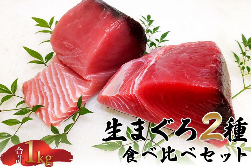 【12月末まで限定寄付額】【年内発送可】生まぐろ２種食べ比べセット　【一部離島配送不可】