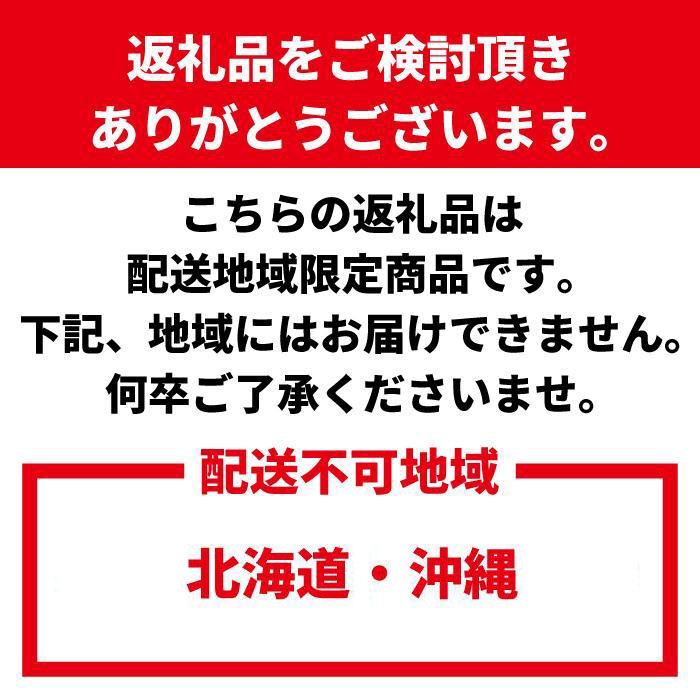 なんでもつゆ 300ml×2本