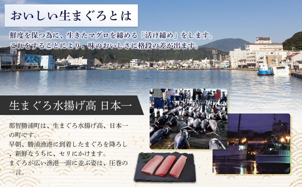 特選　生びんちょうまぐろ　お刺身用サク（約400グラム）