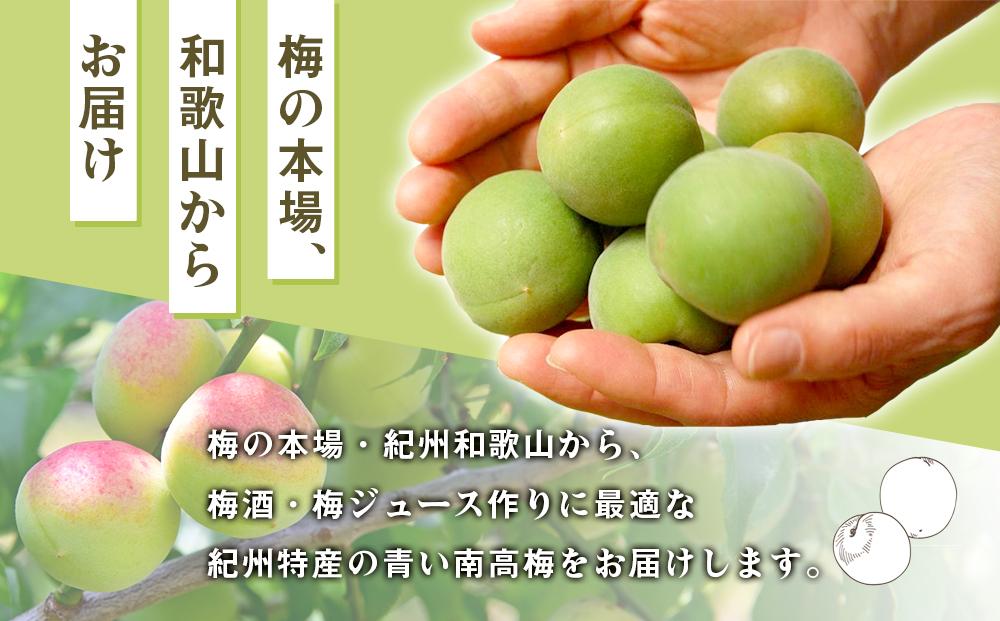 青い南高梅 2kg  L〜2L寸 紀州特産 梅酒 梅ジュースに最適！ 【先行予約：2025年6月1日以降順次発送】